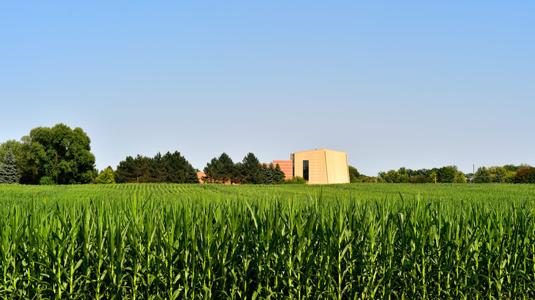 Green field in Carol Stream, Illinois
