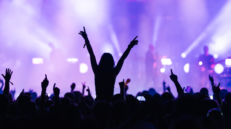 Concertgoers in silhouette cheer for a band in the distance