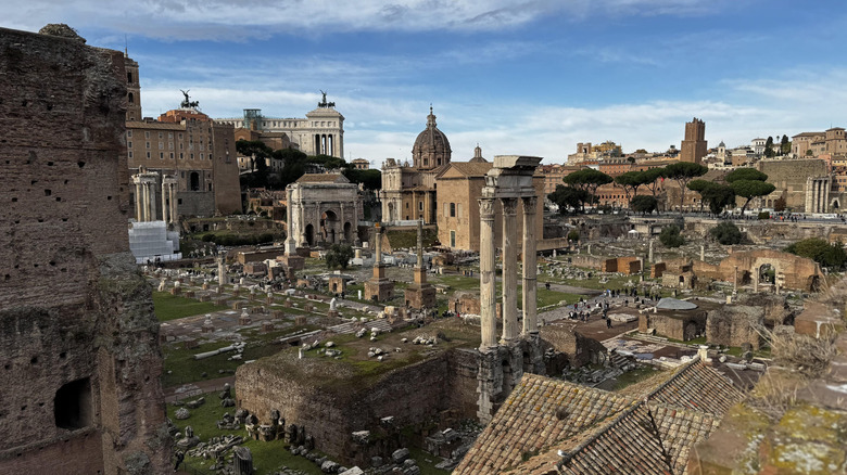 View of Roman Forum ruins during daytime