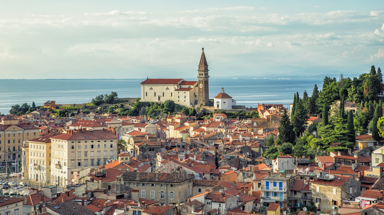 Aerial view of the coastal town of Koper