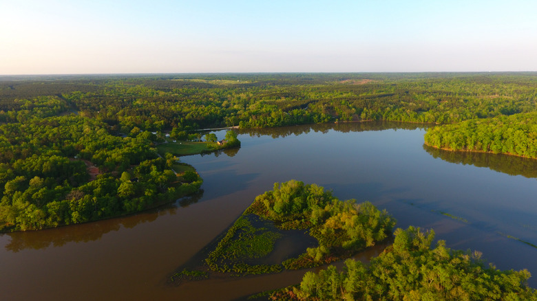 Lake Greenwood with a heart-shaped island and dense trees around its water.