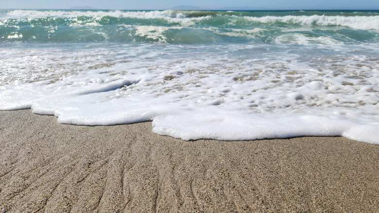 Waves lap shoreline in Oxnard, California