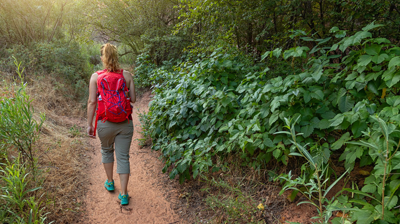 Woman walks on trail near poison ivy