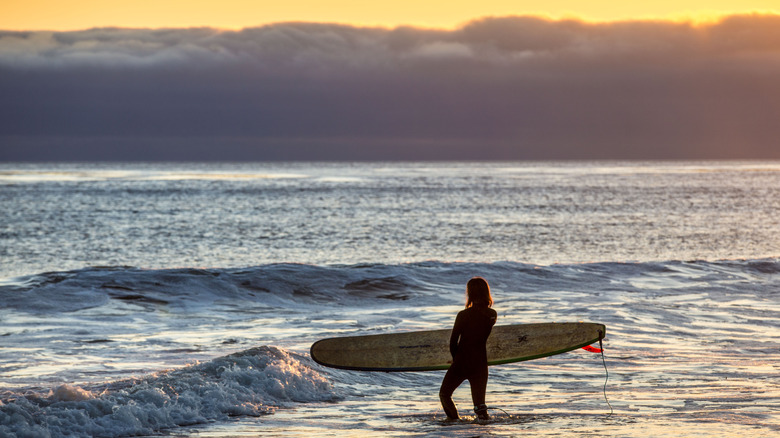 A surfer carrying her board through the waves at sunset at Jalama Beach County Park and Campground, in California.
