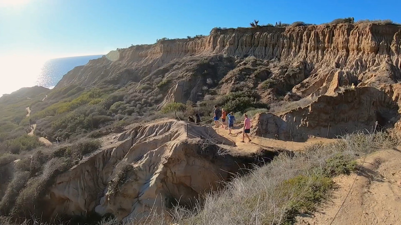 hiking down Torrey Pines Beach loop