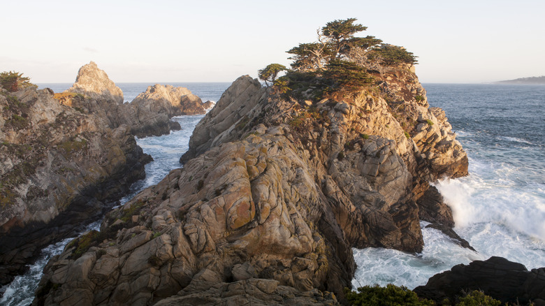 Morning light illuminates rock formations and Monterey Cypress trees at Point Lobos State Natural Reserve