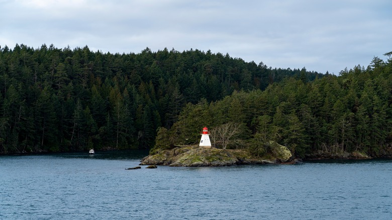 Forests and sea in the Gulf Islands National Park, BC