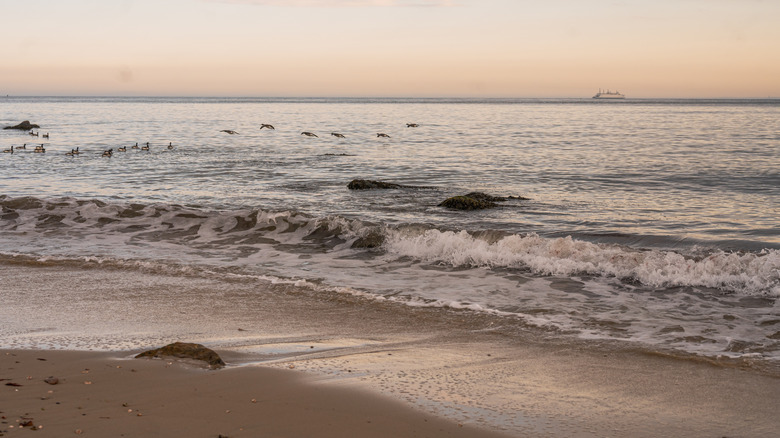 The beach at Harkness Memorial State Park at dusk