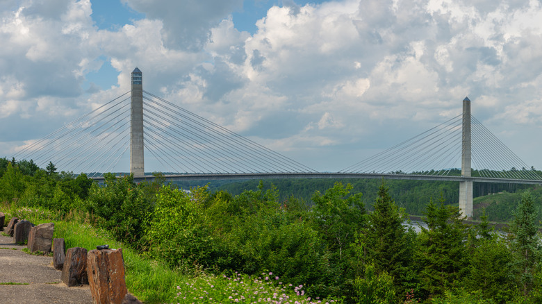 green trees next to bridge under blue and cloudy sky