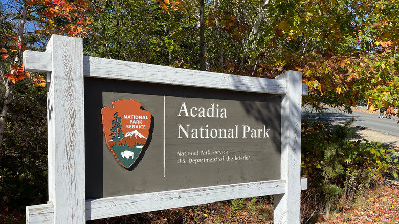 wooden sign with foliage behind it sunny day