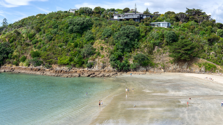 People at sandy beach backed by cliffs with trees on Little Oneroa Beach