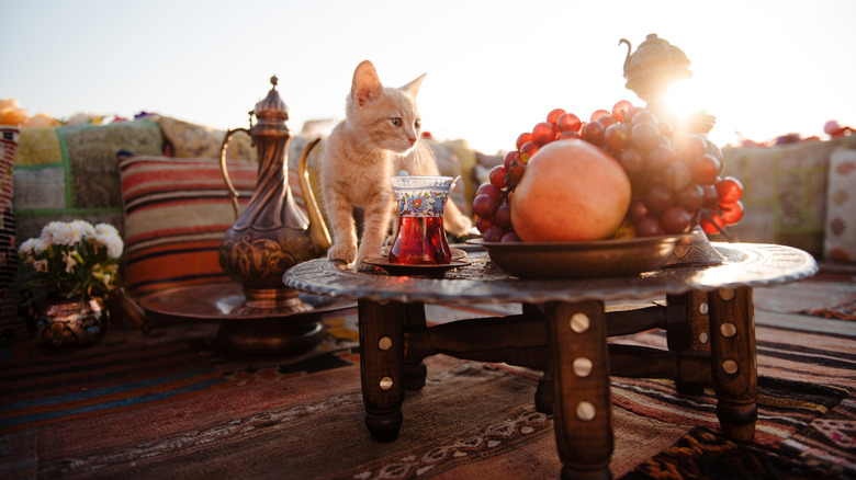 A cat in Istanbul walking on table with fresh fruits and hot tea