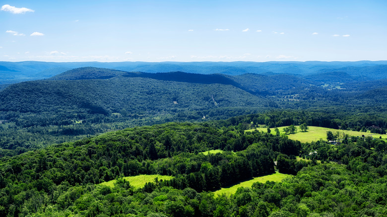 Rolling hills from the peak of Lion's Head