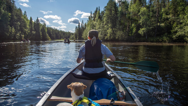Woman canoeing with dogs in Finland