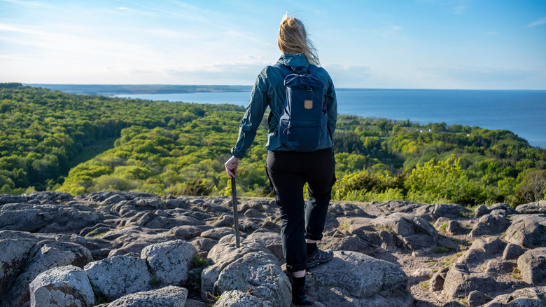 A person stands on an overlook with forest and the sea in the distance