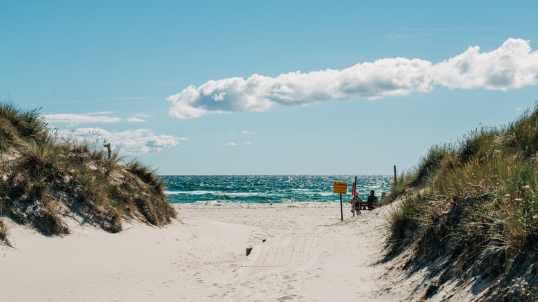 A path through sandy dunes leading to a beach