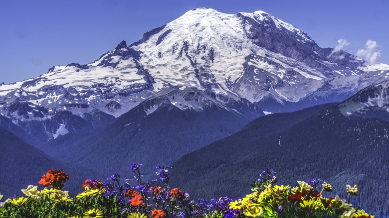 Mount Rainier view from Crystal Mountain with wildflowers in the foreground