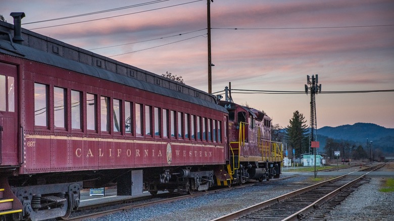 Skunk Train on the tracks