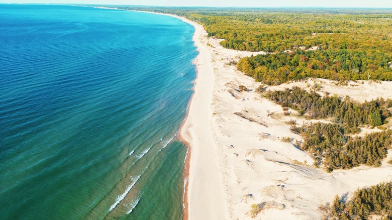 Lake Michigan shoreline with sand dunes
