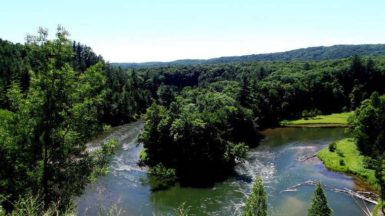 Lush forests and waterways