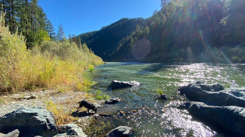 The Klamath River banked by green vegetation and hills