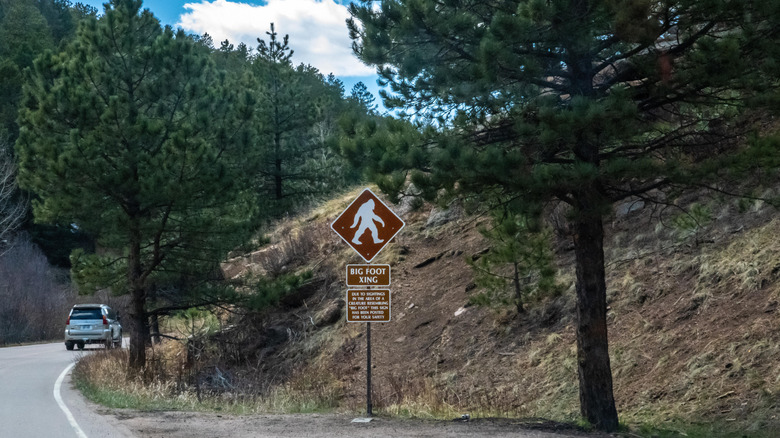 A Bigfoot Crossing sign stands beside a forest road