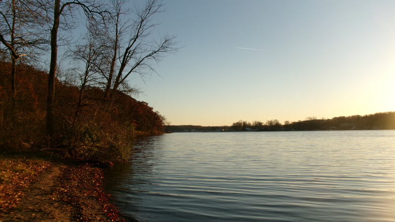 Shoreline at Pokagon State Park near Angola