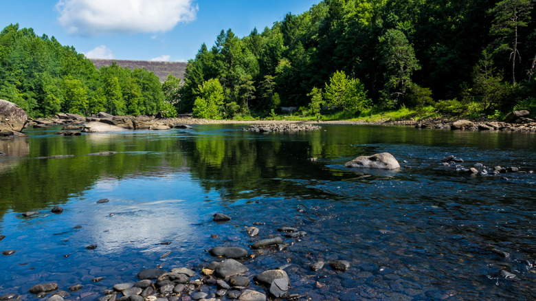 A calm area of the Gauley River in West Virginia