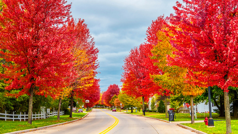 A Kewaunee, Wisconsin street adorned with vibrant autumn colors