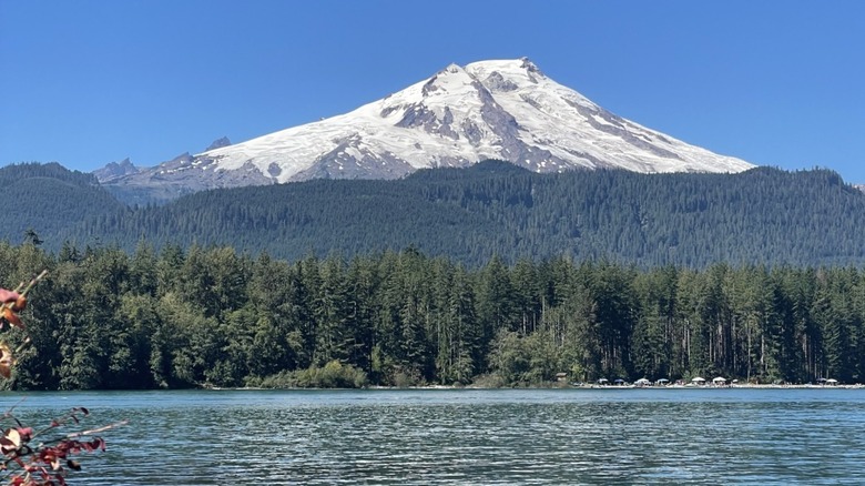 Baker Lake with evergreen trees along the shoreline and Mt. Baker in the distance.
