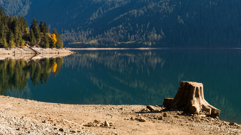 Baker Lake in Washington