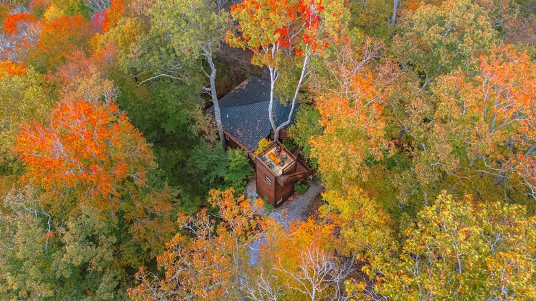The cabin as seen above through the clearing in the trees with the observatory deck