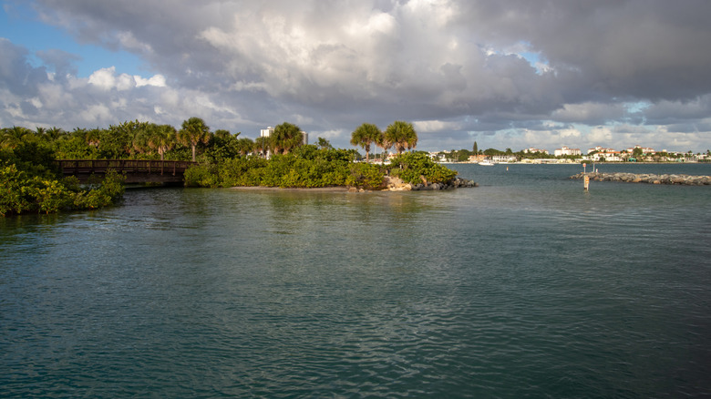 Cove off Peanut Island for snorkeling