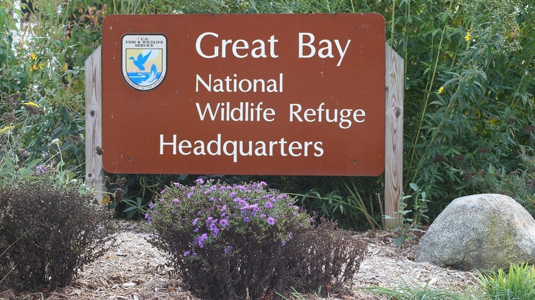 brown sign with text on it in front of green grass and behind purple flowers and rocks