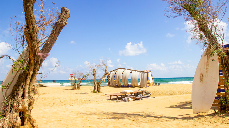 Burc Beach with brushy trees and bohemian structures
