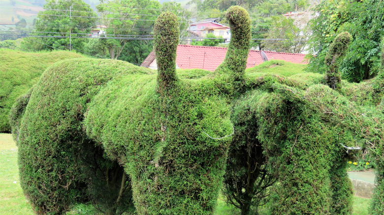 animal topiaries at the Zarceros topiary gardens