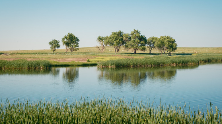 Rocky Mountain Arsenal National Wildlife Refuge