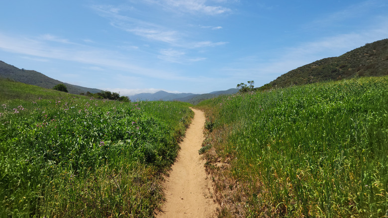 Hiking trail through green fields at Point Mugu State Park, Malibu, California