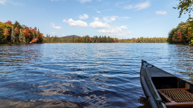 Canoe points into St. Regis Lake, Adirondacks