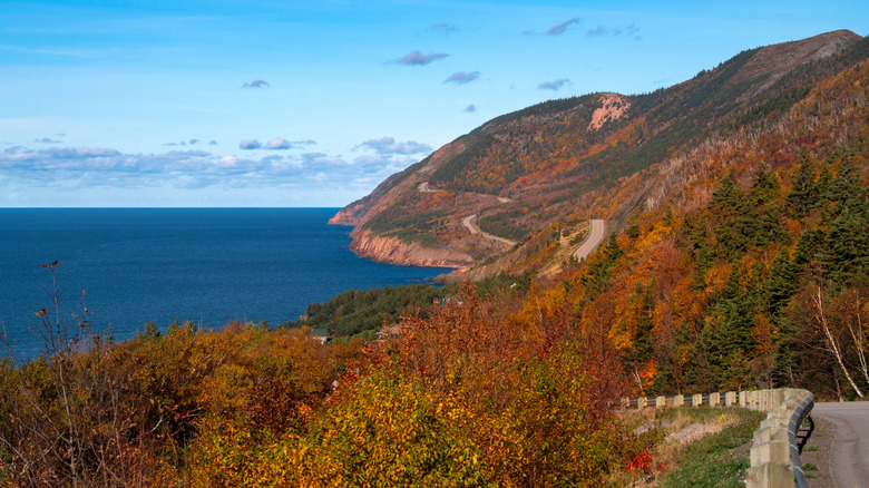 The Cabot Trail in Cape Breton Highlands