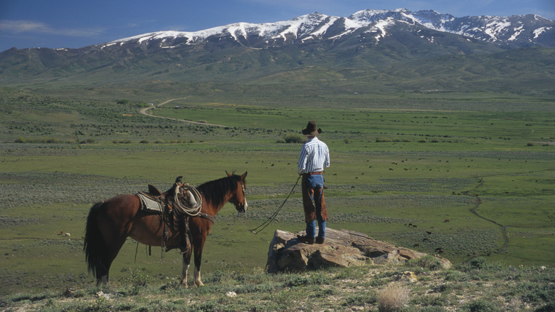 A rancher stands in the fields near the Ruby Mountains in Nevada