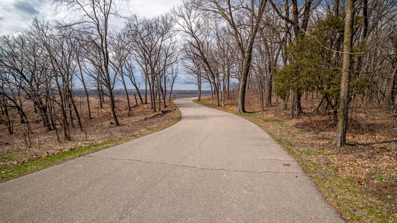 A winding asphalt pathway for bicycles and walkers passing trees in Governor Nelson State Park.