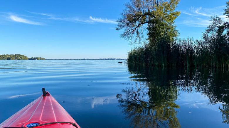 View of Lake Mendota from a kayak on a blue-sky day with nearby reeds and shoreline.