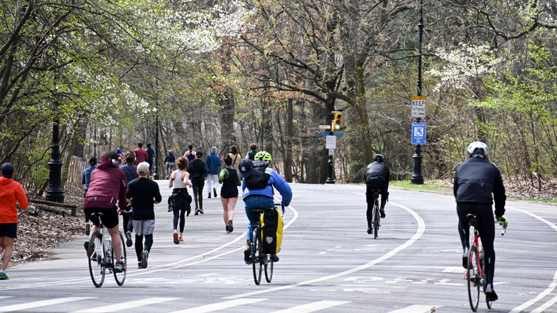 Cyclists in Prospect Park, Brooklyn