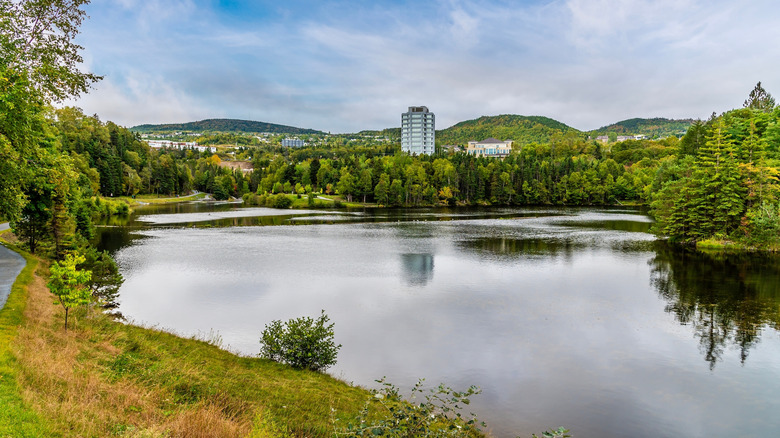 A look at Glynmill Pond surrounded by trees and trails on a cloudy day in Corner Brook, NL