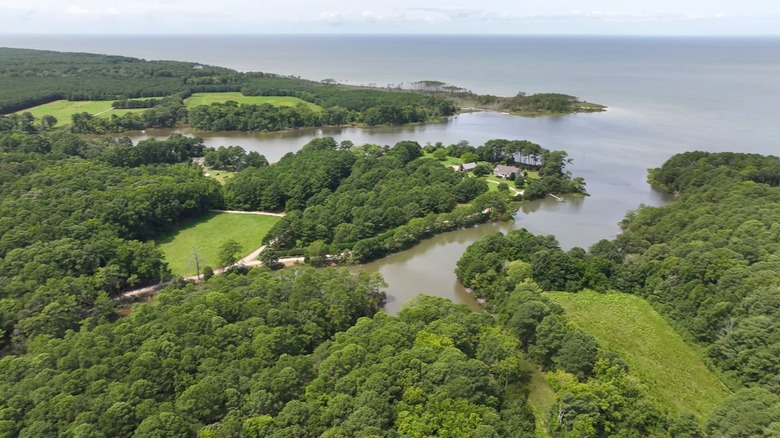 Aerial view of the tree-lined creeks near Exmore, Virginia, and Chesapeake Bay