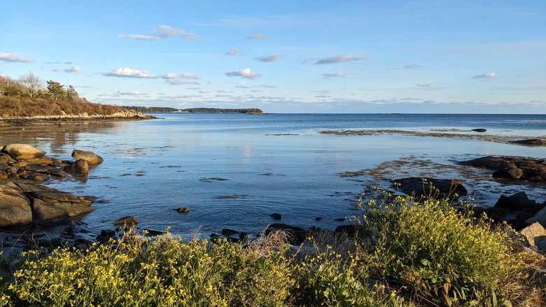 Atlantic Ocean view from Clark Island