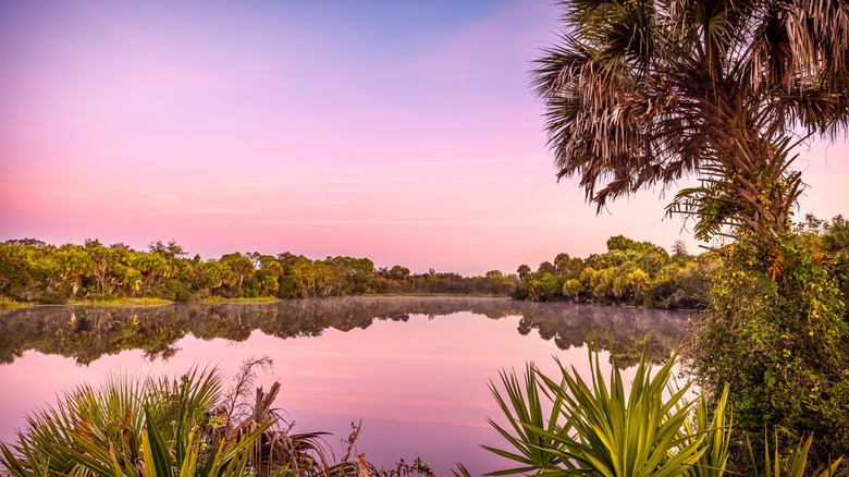 Sunrise at Myakka River State Park