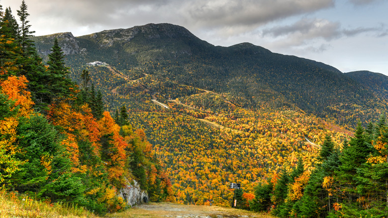 Colorful trees surrounding Mount Mansfield in Vermont