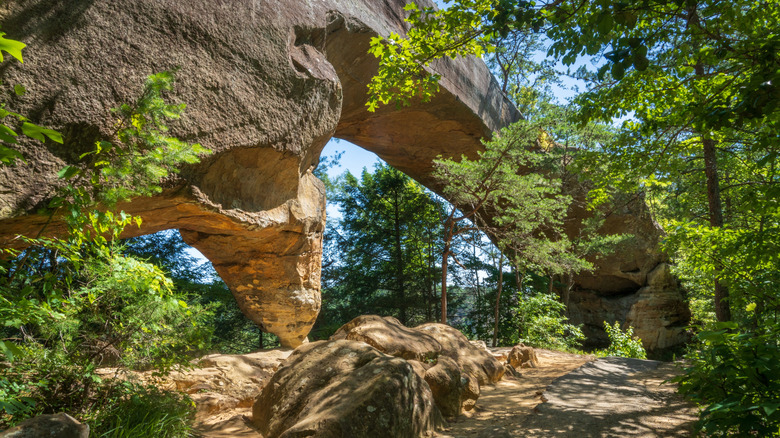 Unique rock formations in Red Rive Gorge geological area, Kentucky